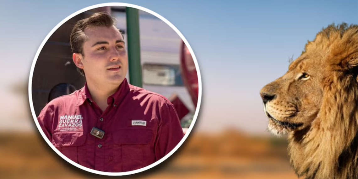 León ataca a alcalde - El INFORMANTE León Rescatado De Una Quinta Ataca A Alcalde De García, NL