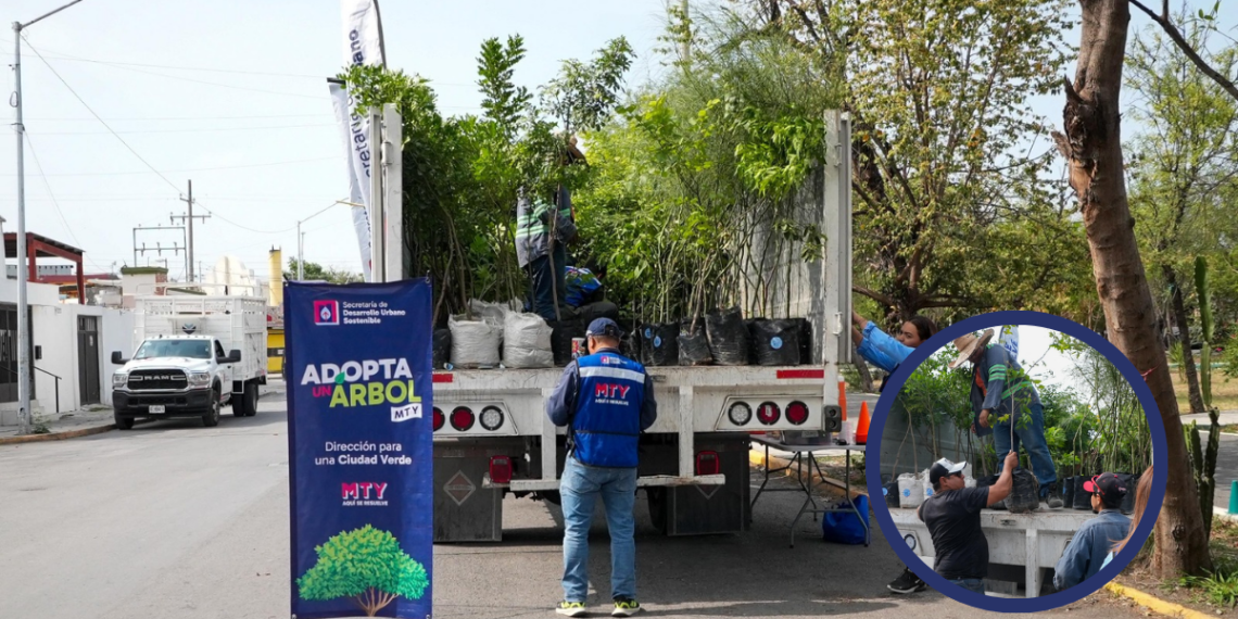 adopta un árbol mty_el informante - El INFORMANTE Adopta Un Árbol Promueve Reforestación En Monterrey