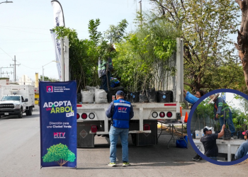 Adopta Un Árbol Promueve Reforestación En Monterrey