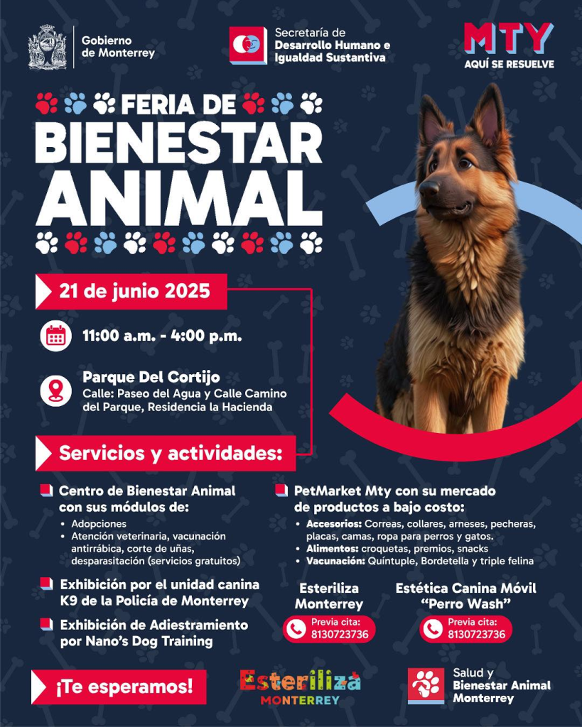 esterilización animal - El INFORMANTE