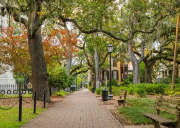 llega-el-otoñp-a-monterrey