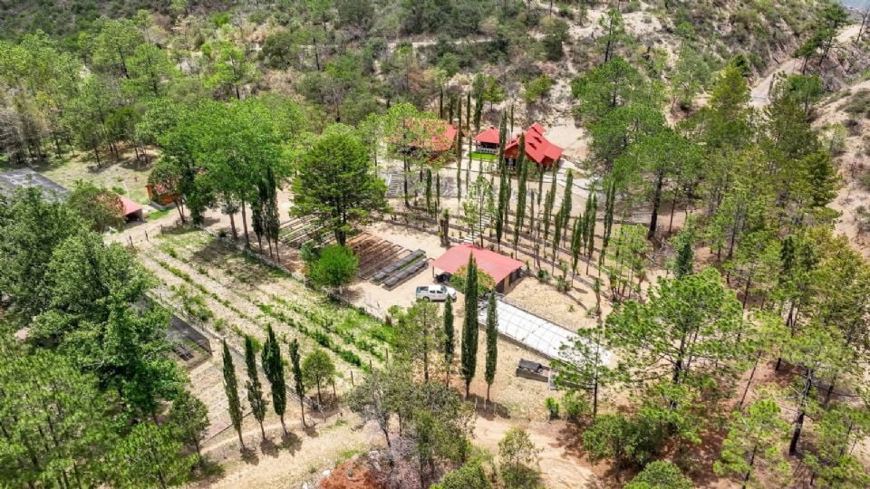 infraestructura sustentable - El INFORMANTE infraestructura-sustentable-UANL-Green-Metric-movilidad-sostenible-eficiencia-energética